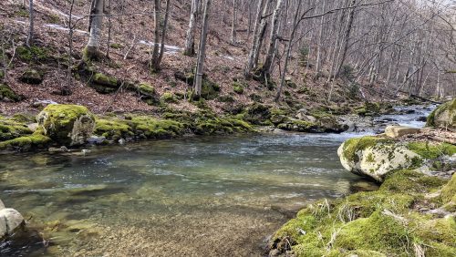 trout-fishing-mart-2026-stara-planina-24