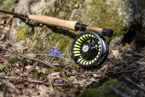 trout-fishing-mart-2026-stara-planina-27