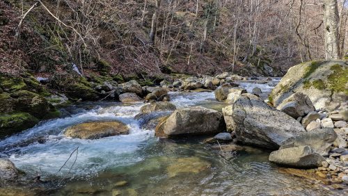 trout-fishing-mart-2026-stara-planina-29
