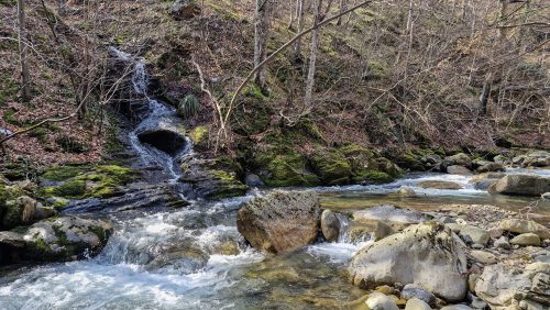 trout-fishing-mart-2026-stara-planina-30