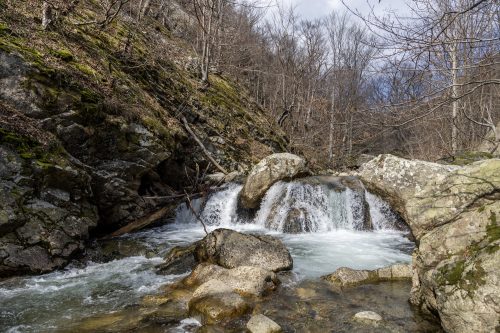 trout-fishing-mart-2026-stara-planina-31