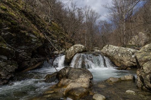 trout-fishing-mart-2026-stara-planina-32