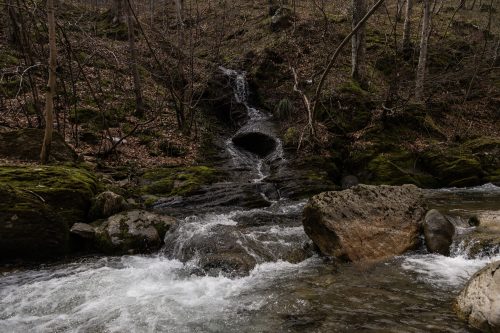 trout-fishing-mart-2026-stara-planina-40