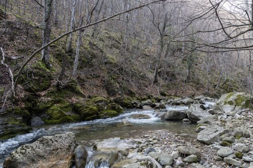 trout-fishing-mart-2026-stara-planina-41