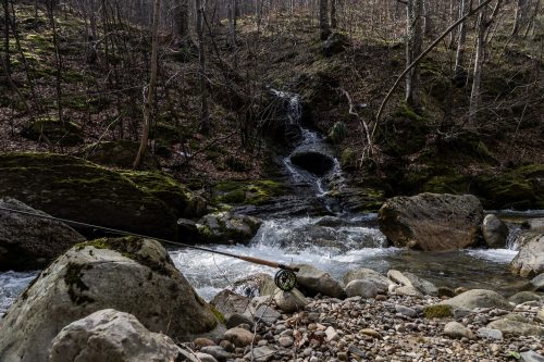 trout-fishing-mart-2026-stara-planina-43