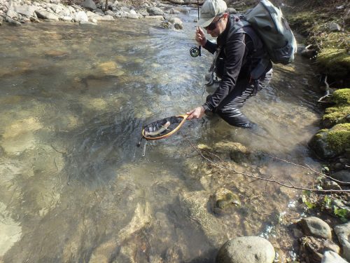 trout-fishing-mart-2026-stara-planina-57