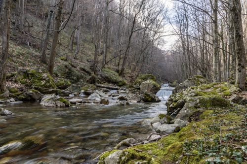 trout-fishing-mart-2026-stara-planina-58