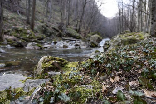 trout-fishing-mart-2026-stara-planina-59