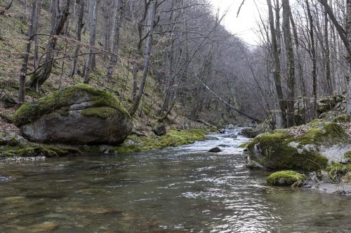 trout-fishing-mart-2026-stara-planina-61