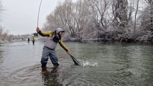 trout-fishing-openning-2026-ogosta-montana-04