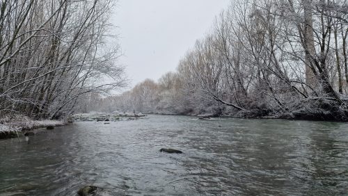 trout-fishing-openning-2026-ogosta-montana-10