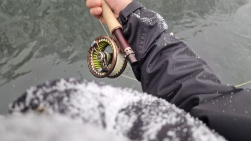 trout-fishing-openning-2026-ogosta-montana-18