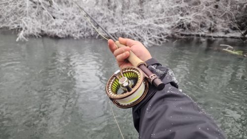 trout-fishing-openning-2026-ogosta-montana-20