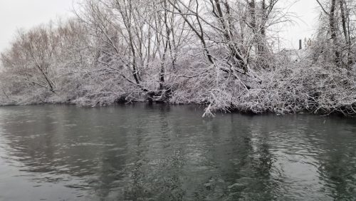 trout-fishing-openning-2026-ogosta-montana-21
