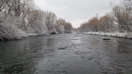 trout-fishing-openning-2026-ogosta-montana-22