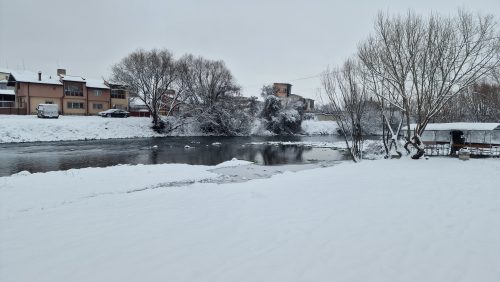 trout-fishing-openning-2026-ogosta-montana-25