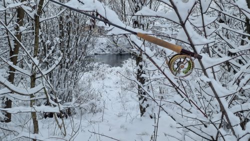 trout-fishing-openning-2026-ogosta-montana-26