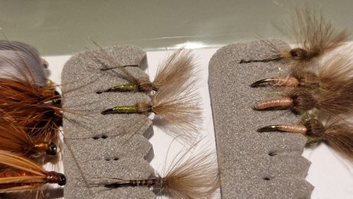 trout-fishing-openning-2026-ogosta-montana-28