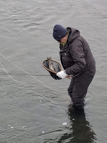 trout-fishing-openning-2026-ogosta-montana-36