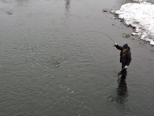 trout-fishing-openning-2026-ogosta-montana-38
