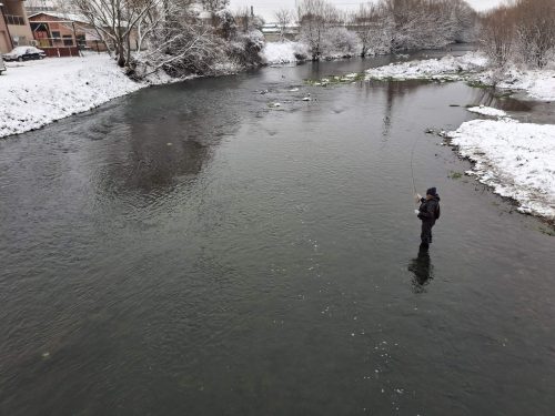 trout-fishing-openning-2026-ogosta-montana-39