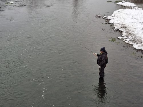 trout-fishing-openning-2026-ogosta-montana-40