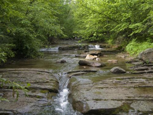 trout-in-balkan-mountain-02