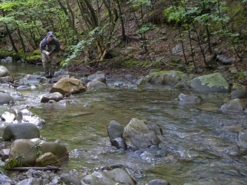 trout-in-balkan-mountain-08