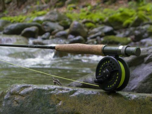 trout-in-balkan-mountain-09