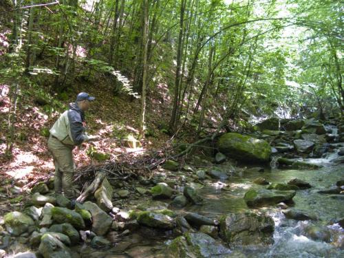 trout-in-balkan-mountain-10