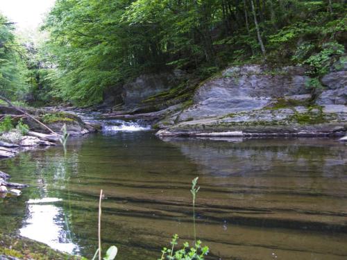 trout-in-balkan-mountain-14