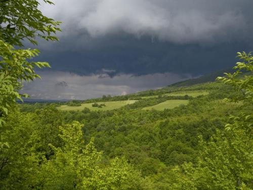 trout-in-balkan-mountain-15