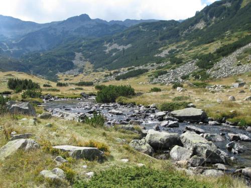 trout-in-pirin-mountain-02