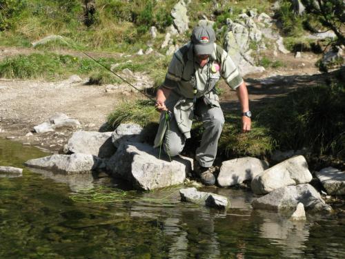 trout-in-pirin-mountain-08