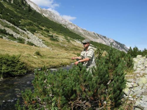 trout-in-pirin-mountain-09