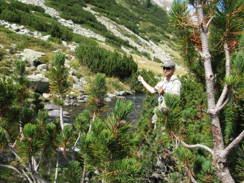 trout-in-pirin-mountain-11