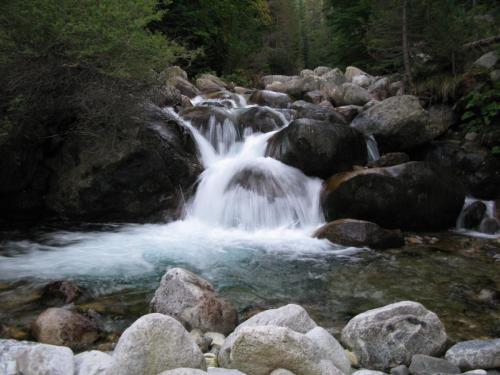 trout-in-pirin-mountain-12
