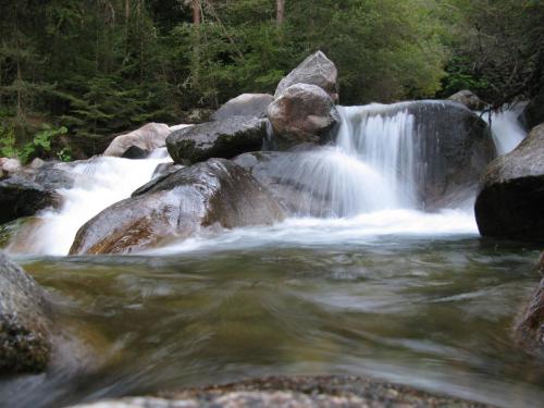 trout-in-pirin-mountain-13