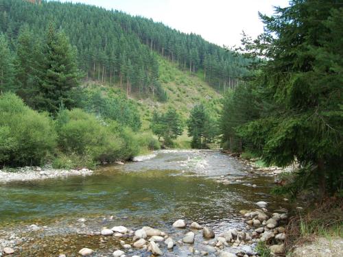 trout-in-rila-mountain-02