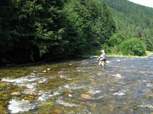 trout-in-rila-mountain-04