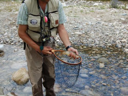 trout-in-rila-mountain-07