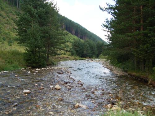 trout-in-rila-mountain-08