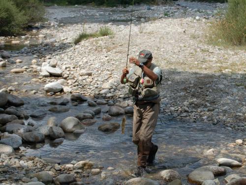 trout-in-rila-mountain-14
