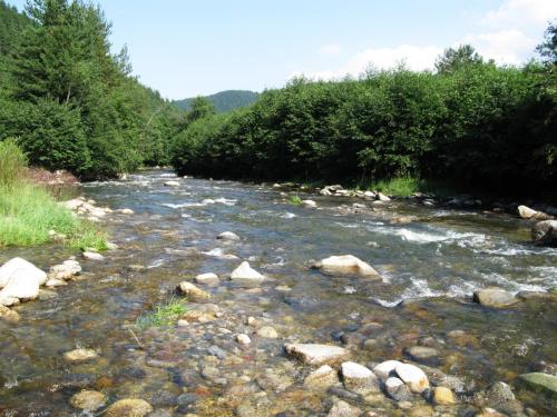 trout-in-rila-mountain-18