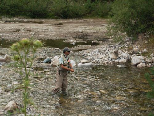 trout-in-rila-mountain-20
