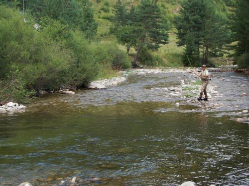 trout-in-rila-mountain-25
