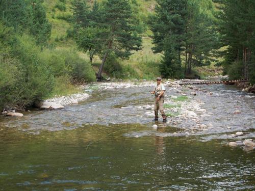 trout-in-rila-mountain-37