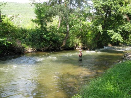 trout-in-south-west-mountain-01