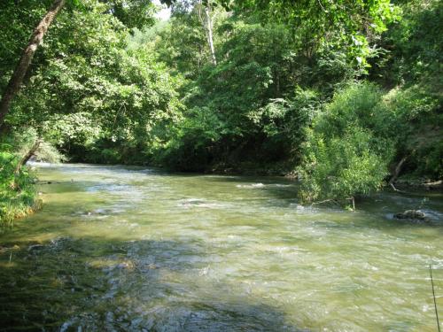 trout-in-south-west-mountain-03