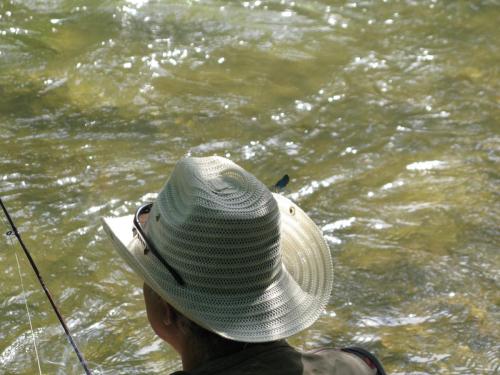 trout-in-south-west-mountain-05